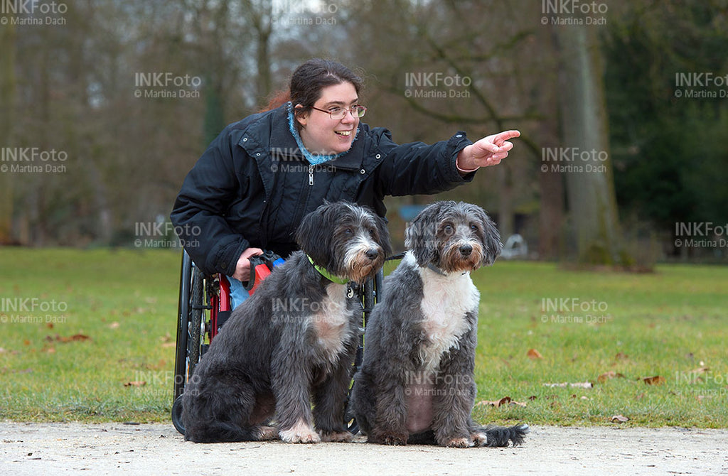 Junge Frau im Rollstuhl mit Hunden im Park.