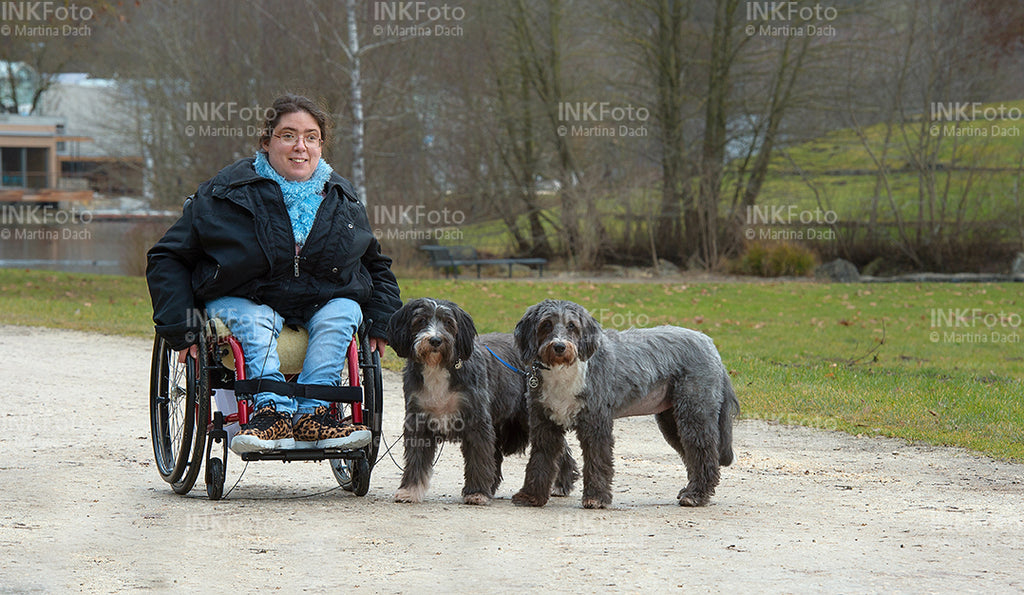 Junge Frau im Rollstuhl mit Hunden im Park.