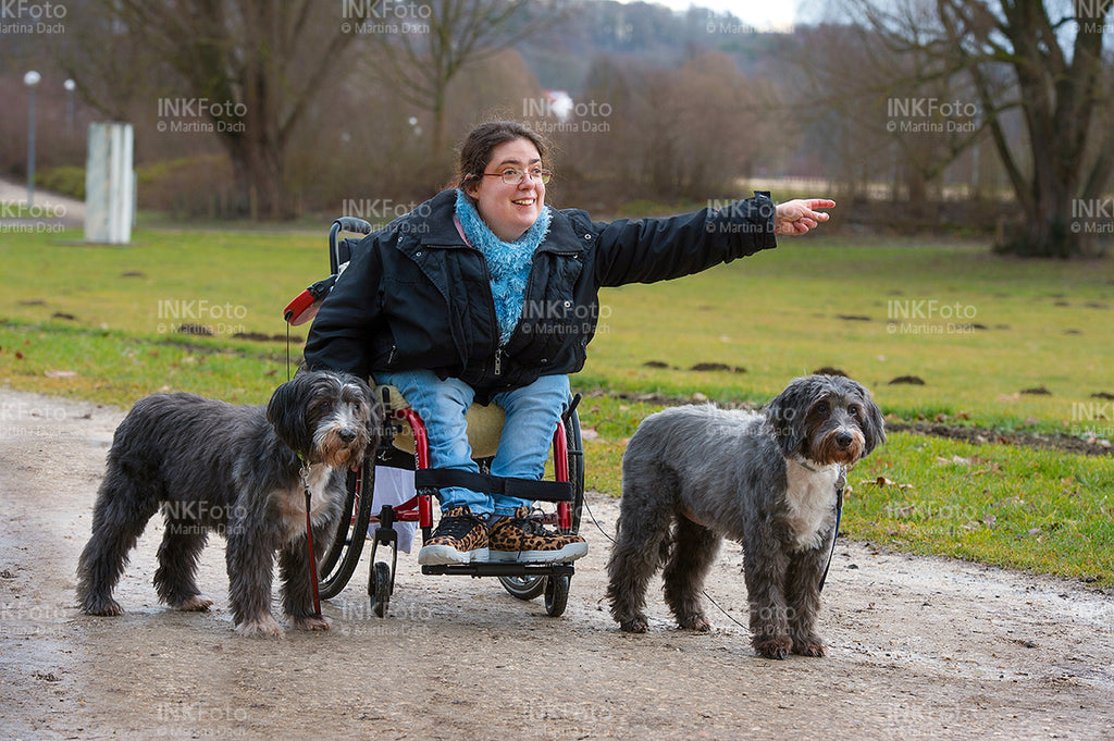 Junge Frau im Rollstuhl mit Hunden im Park.