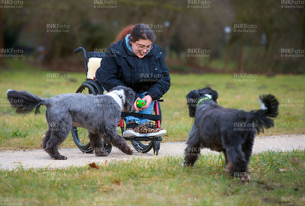 Junge Frau im Rollstuhl mit Hunden im Park.