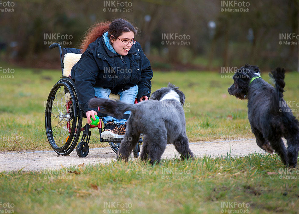 Junge Frau im Rollstuhl mit Hunden im Park.