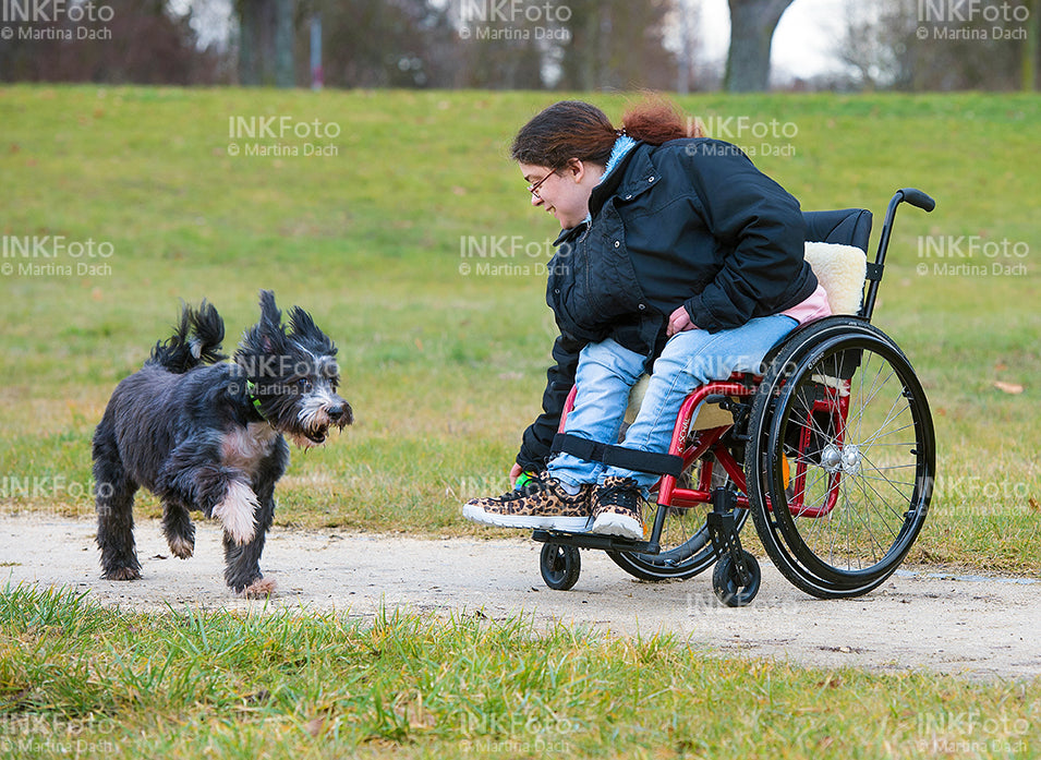 Junge Frau im Rollstuhl mit Hund im Park.