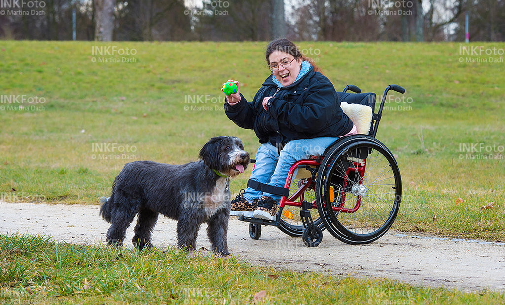 22 Gassi mit den Hunden im Park