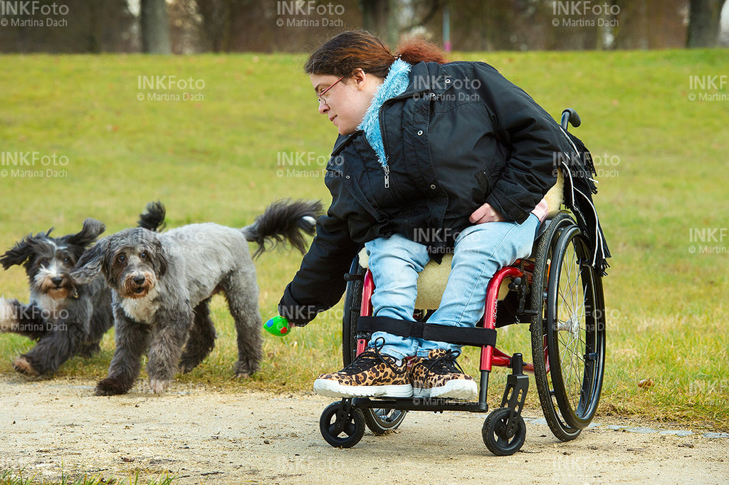 Junge Frau im Rollstuhl mit Hunden im Park.