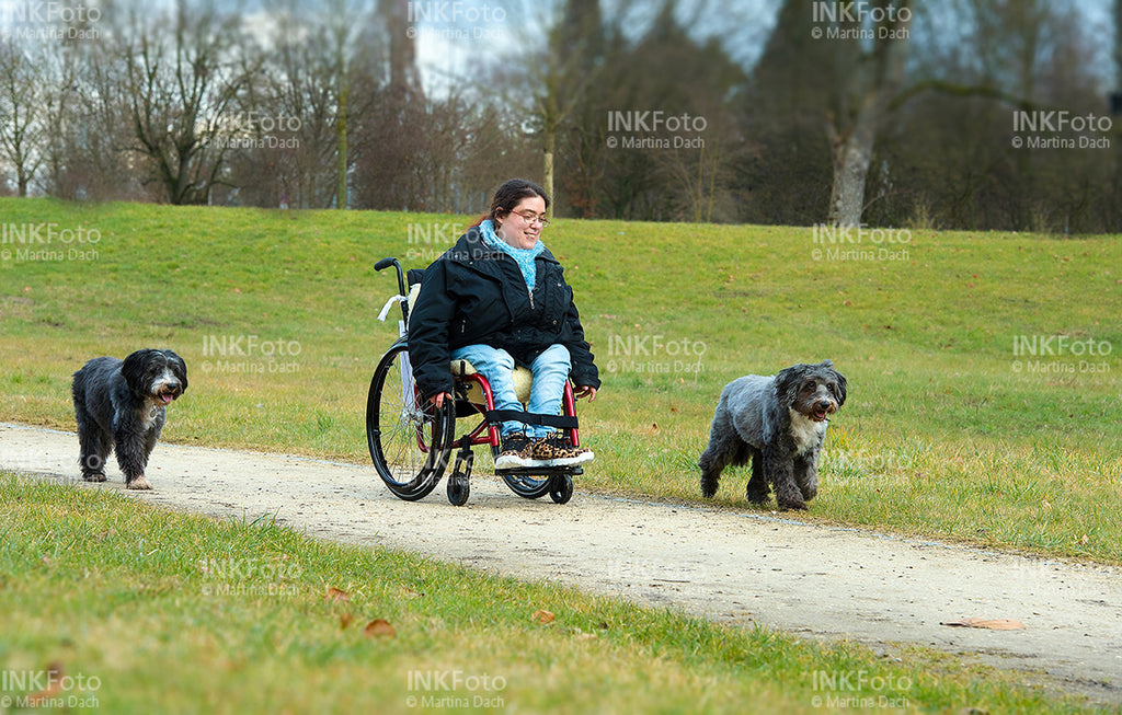 Junge Frau im Rollstuhl mit Hunden im Park.