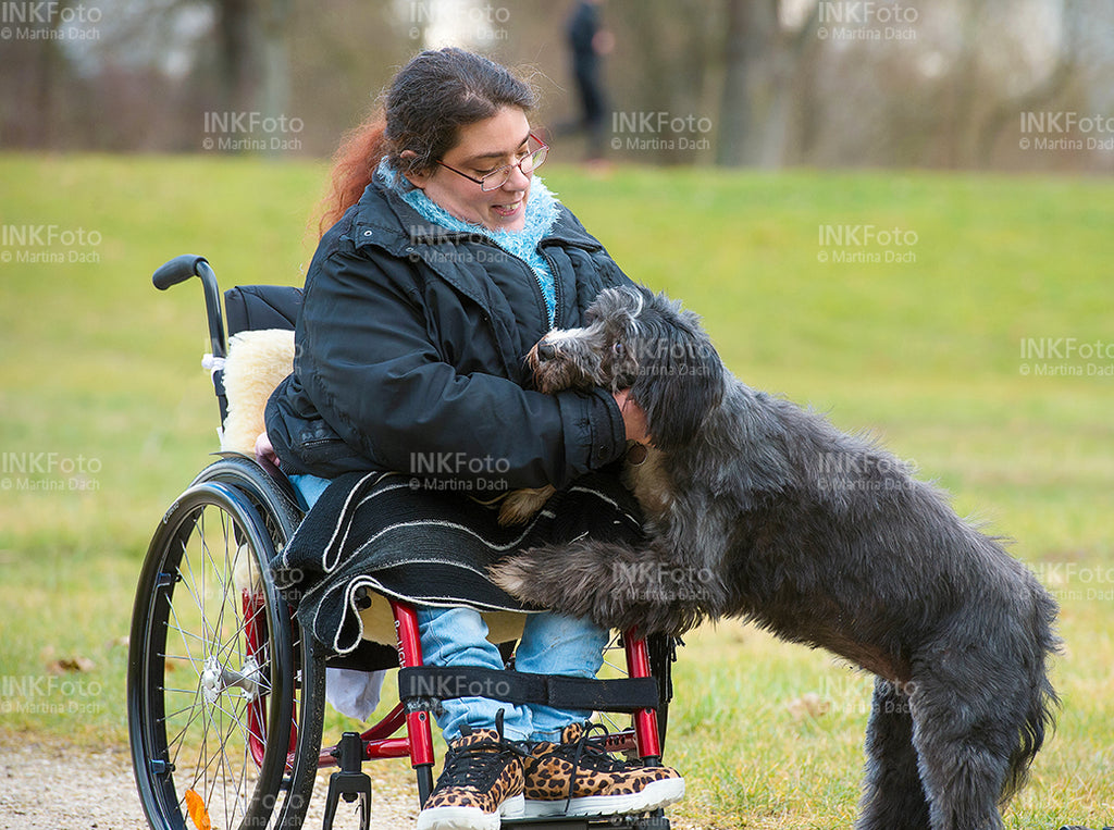 Junge Frau im Rollstuhl mit Hund im Park.