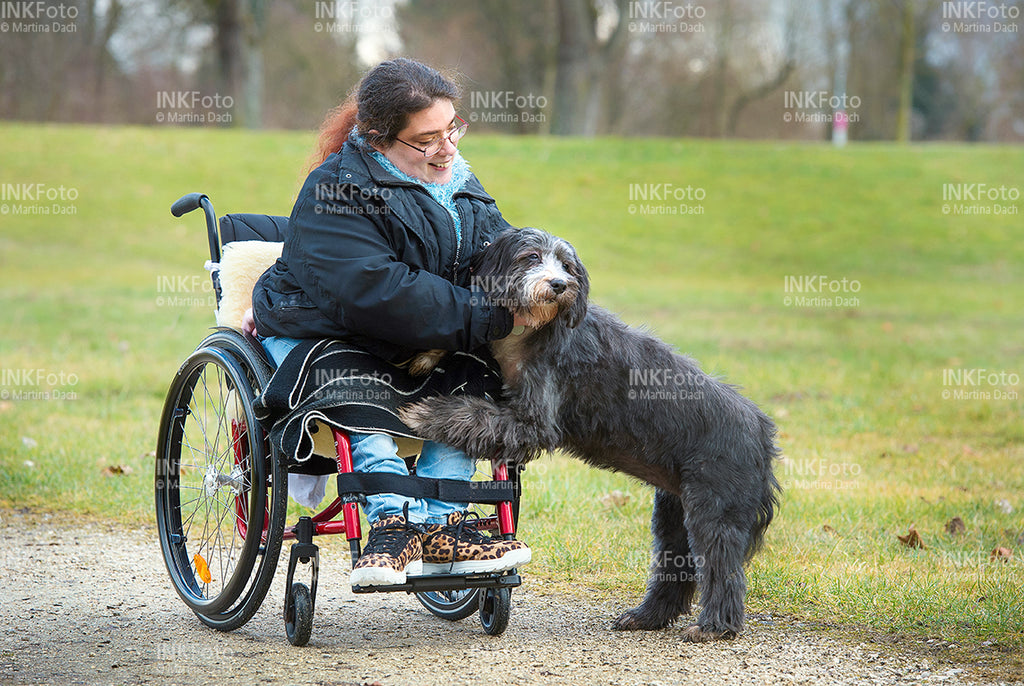 Junge Frau im Rollstuhl mit Hund im Park.