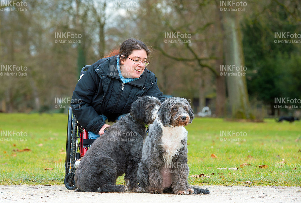 Junge Frau im Rollstuhl mit Hunden im Park.