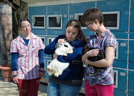 3 junge Frauen mit Kaninchen