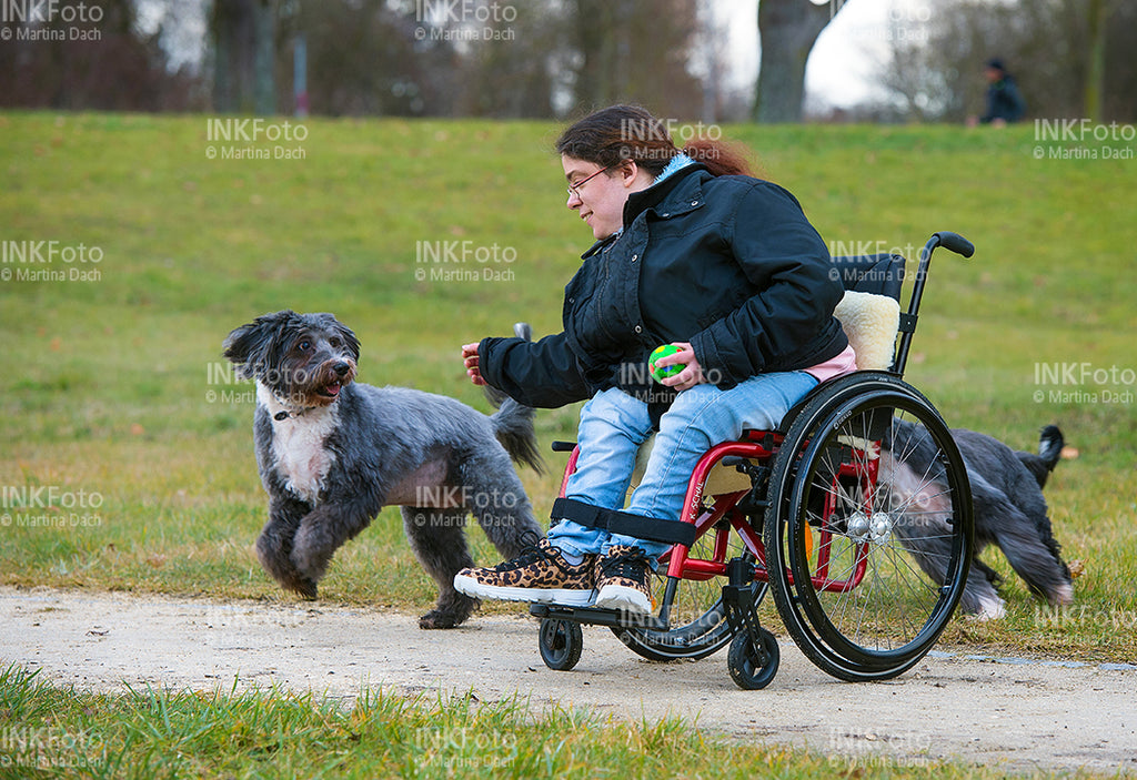 Junge Frau im Rollstuhl mit Hunden im Park.
