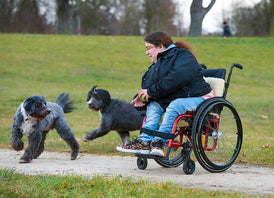Junge Frau im Rollstuhl mit Hunden im Park.