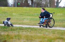 Junge Frau im Rollstuhl mit Hund im Park.