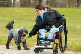 Junge Frau im Rollstuhl mit Hund im Park.